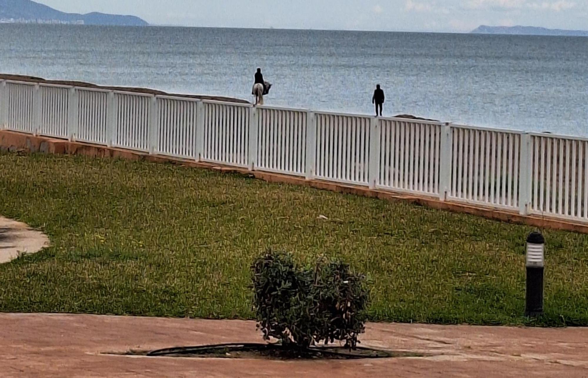 Mirador Al Mar 85 Unico Sobre El Mar